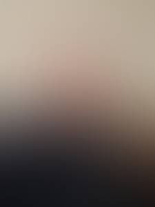 rencontre avec Homer