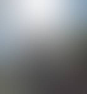 Ginger rencontre avec Ginger