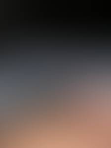 Sammy rencontre avec Sammy