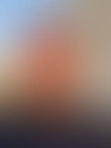 Wade rencontre avec Wade