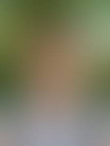 Femme célibataire 37 ans à Vaud