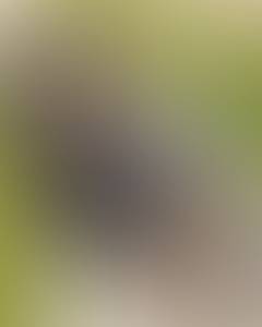 Femme célibataire 48 ans à Le Puy-en-Velay