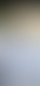 rencontre avec Wilfred