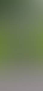 https://x.mediascdn.net/blur/6b1db84d51fe272dd2c0c5616f68dab6afaa950a8c6e6c832ff631bfb8b1107e.jpeg