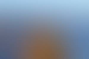 rencontre avec Charlie