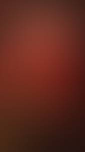 Rufus rencontre avec Rufus