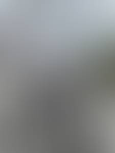 rencontre avec Charlie