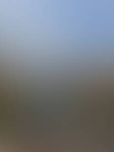 Craig rencontre avec Craig