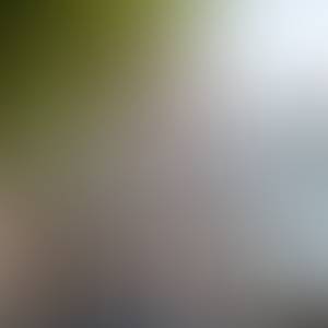 Shannon rencontre avec Shannon