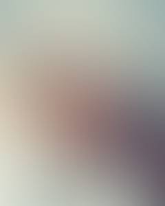 rencontre avec Wilson