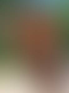 rencontre avec Wallace