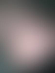 rencontre avec Bobby