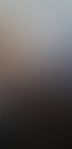 rencontre avec Salvador