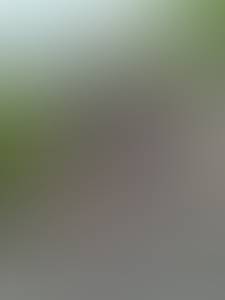 Marshall rencontre avec Marshall