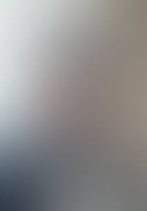 rencontre avec Chester