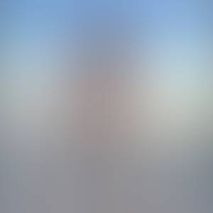 rencontre avec Willis