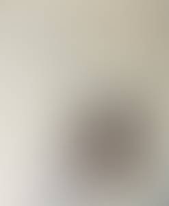 Francis rencontre avec Francis