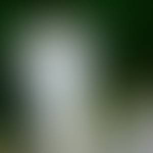 rencontre avec Craig