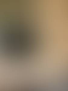 Photo du profil Jermaine, 21 ans à Charleville-Mézières