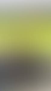 rencontre avec Steve