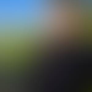 Dustin rencontre avec Dustin