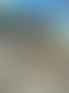 Photo de Loupodubimo12a