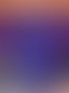 rencontre avec Shannon