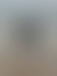 Diana rencontre avec Diana