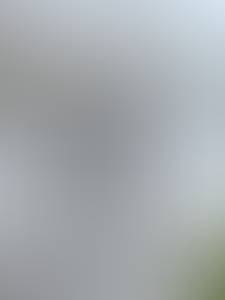 Sam rencontre avec Sam