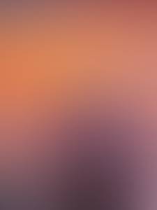 Leon rencontre avec Leon