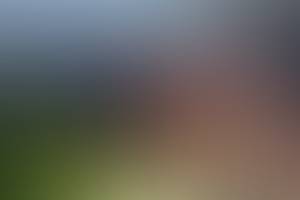 rencontre avec Aubrey