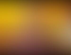 Franklin rencontre avec Franklin