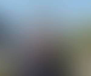 Photo de Pimentavermelha