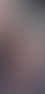 rencontre avec Dwight