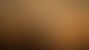 Rex rencontre avec Rex