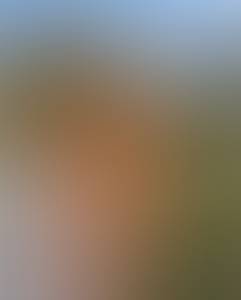 site de rencontre amoureuse mobile