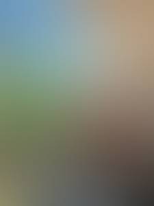 rencontre avec Colin