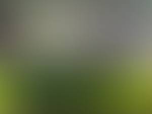 rencontre avec Hubert