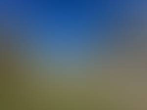 rencontre avec Garrett