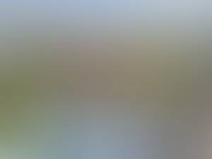 Judy rencontre avec Judy