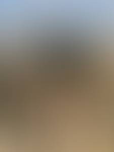 rencontre avec Willie