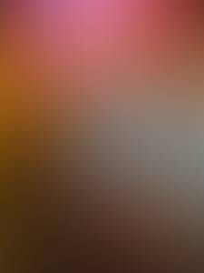 Moses rencontre avec Moses