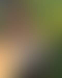 Femme célibataire 24 ans à Vaud