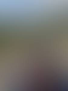 Leonard rencontre avec Leonard