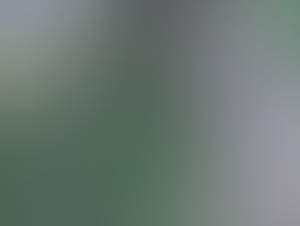 Ellen rencontre avec Ellen