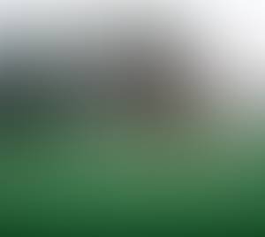 Photo du profil Cecil, 20 ans à Molí de Vent