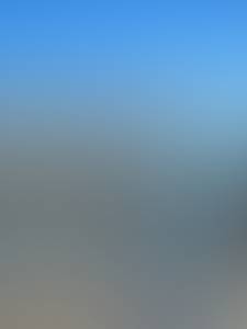 Willie rencontre avec Willie