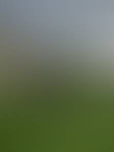 rencontre avec William