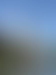 rencontre avec Marguerite