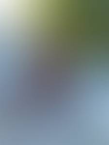 ?? Uniquement du r�el ??


Femme antillaise bisexuel,  en recherche de plaisir partager.

Une relation bas�e sur l?�change mutuel a int�r�ts �gaux.

D�couvrir de nouvelles choses ? ? on y va.
 

Envoyez moi un message si vous �tes int�ress�s. ??